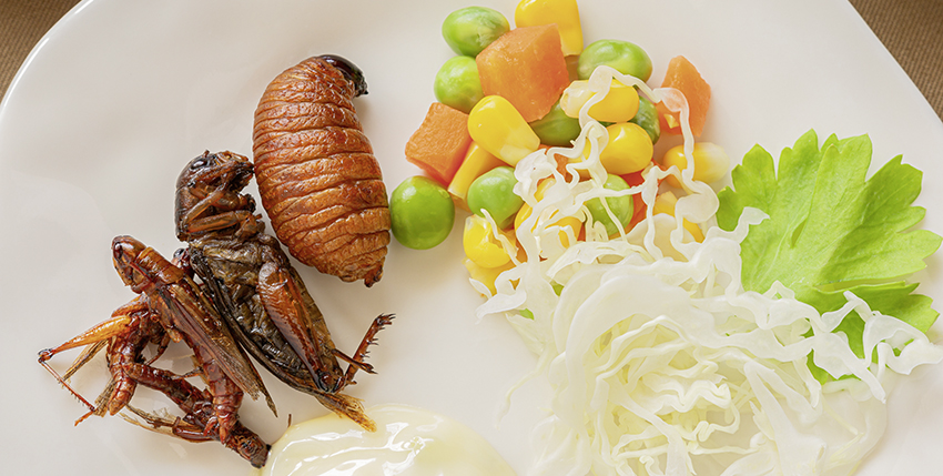 Bientôt des insectes comestibles dans les assiettes luxembourgeoises ?